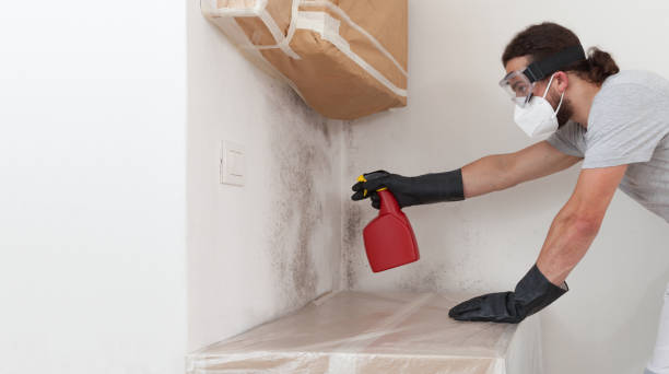 Professional Attic Mold Remediation technician working in Fairview, NC