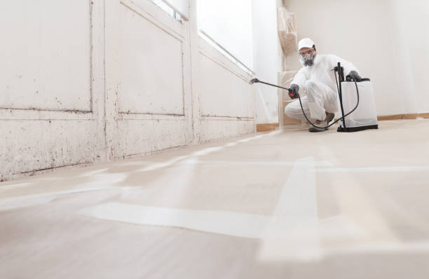 24/7 Emergency Attic Mold Remediation experts in Fairview, NC